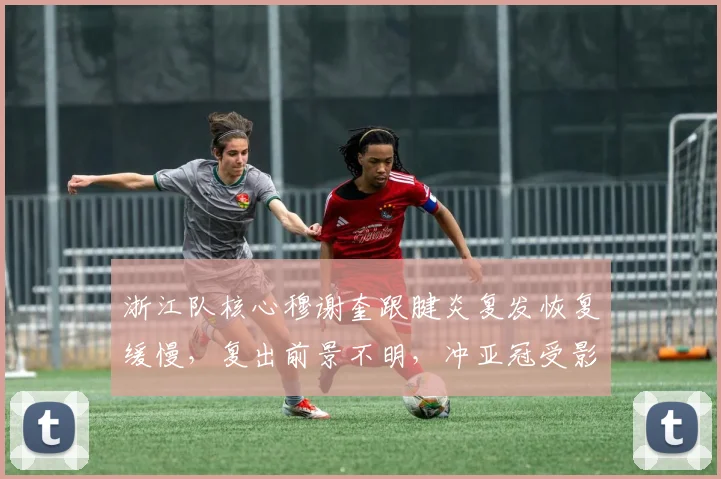 浙江队核心穆谢奎跟腱炎复发恢复缓慢,复出前景不明,冲亚冠受影响